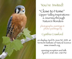 Photography and Art by Cynthia Crawford/Creature Kinships